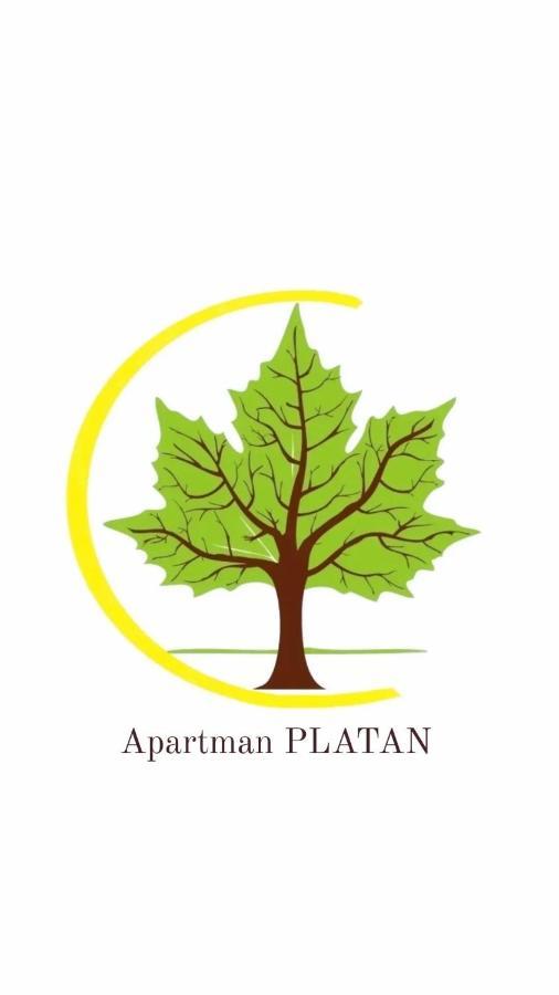 Platan *